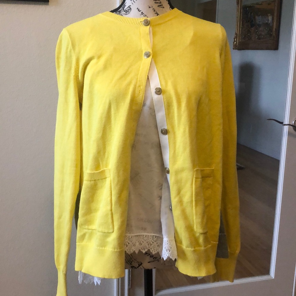 Cabi Sweater